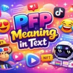 PFP Meaning in Text