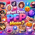 What Does PFP Mean