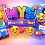WYS Meaning in Text