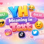 YH Meaning in Text
